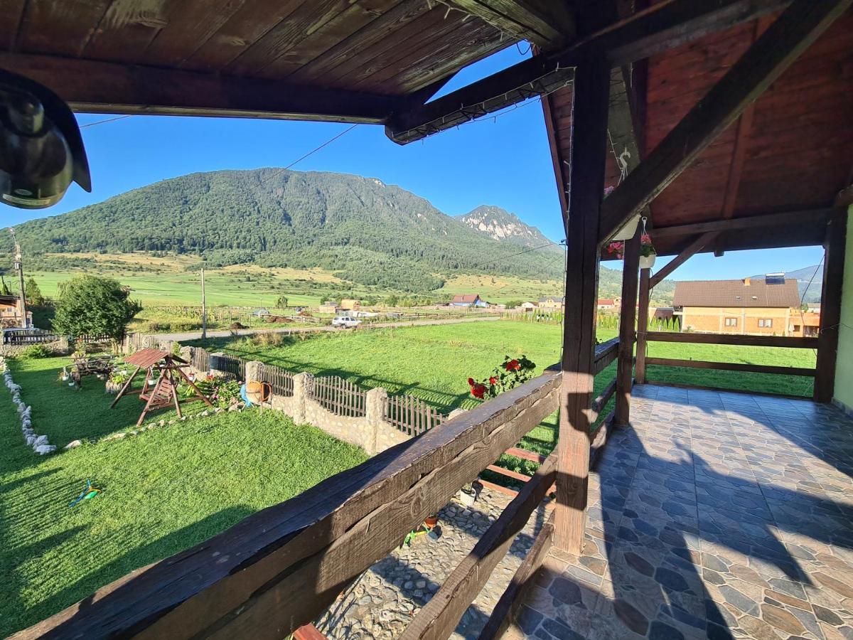 Maricom Home Zărneşti المظهر الخارجي الصورة