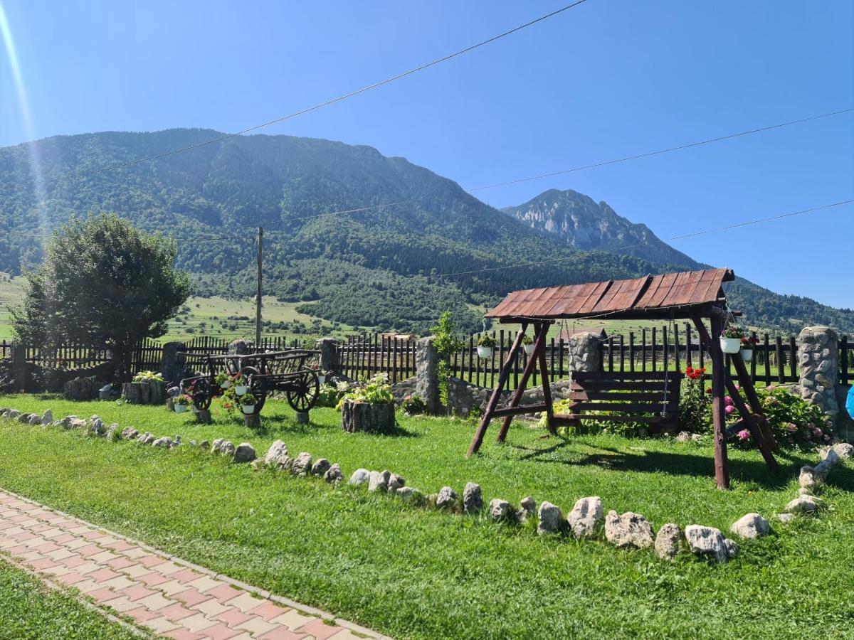 Maricom Home Zărneşti المظهر الخارجي الصورة