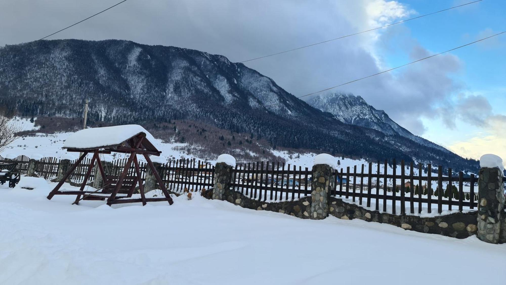 Maricom Home Zărneşti المظهر الخارجي الصورة